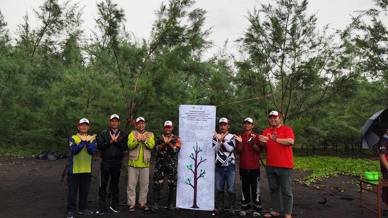ldiijember-tangan-hebat-tanam-mangrove-pantai-cemara-puger1