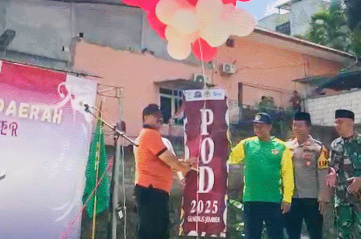 ldiijember-podlii2025