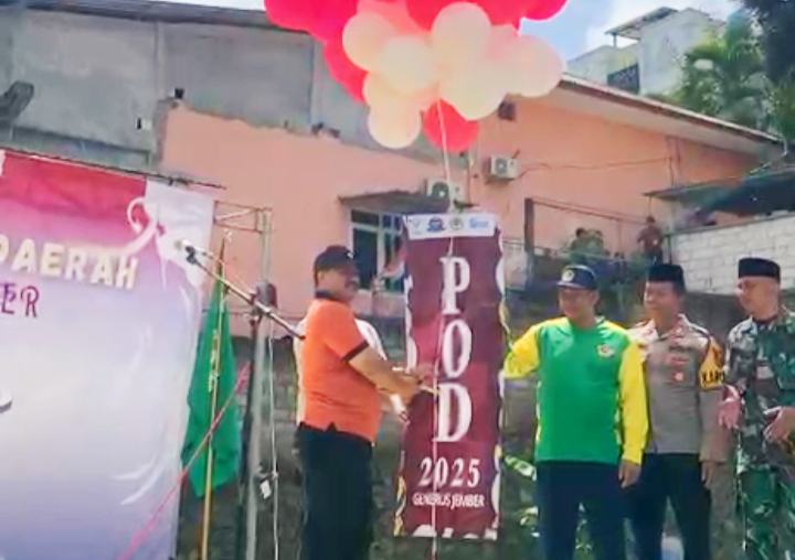ldiijember-podlii2025